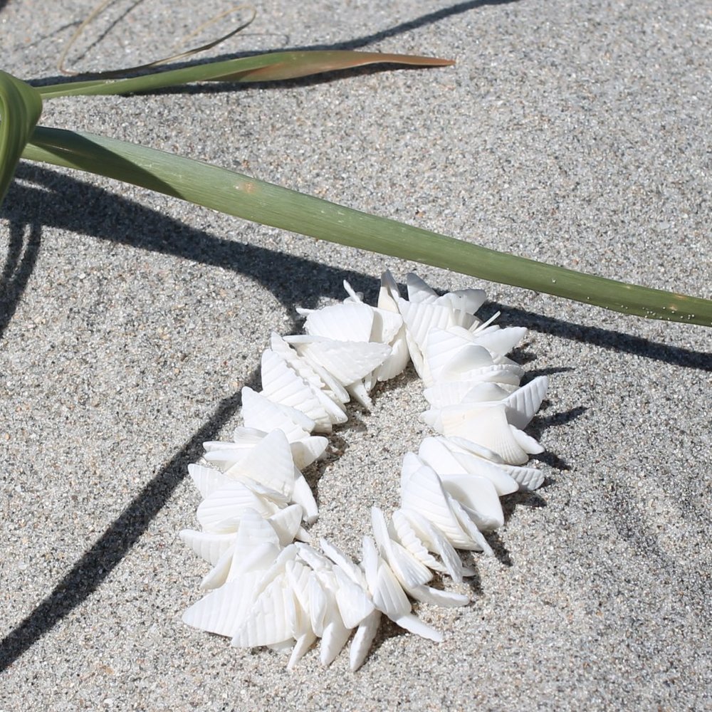 Bermuda Triangle Sea Shell Bracelets - Picture 2 of 5